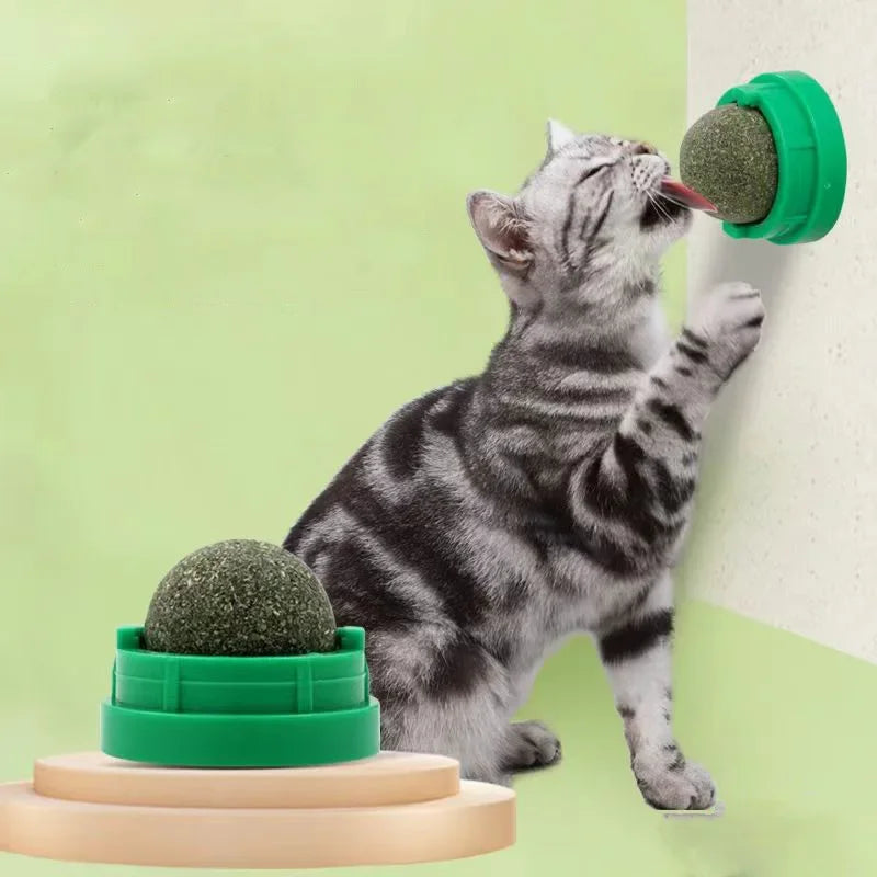 Wall-Mounted Catnip Lick Ball Toy – Stick-On Interactive Dental & Calming Toy for Cats.