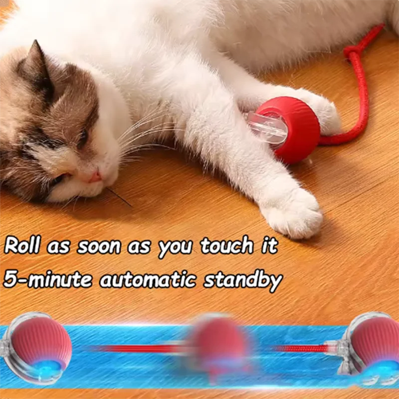 Interactive Smart Cat Toy Ball – Automatic Play & Chase.