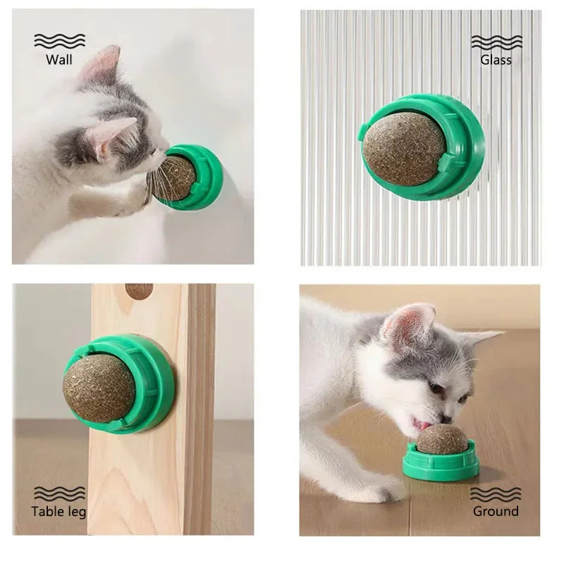 Wall-Mounted Catnip Lick Ball Toy – Stick-On Interactive Dental & Calming Toy for Cats.